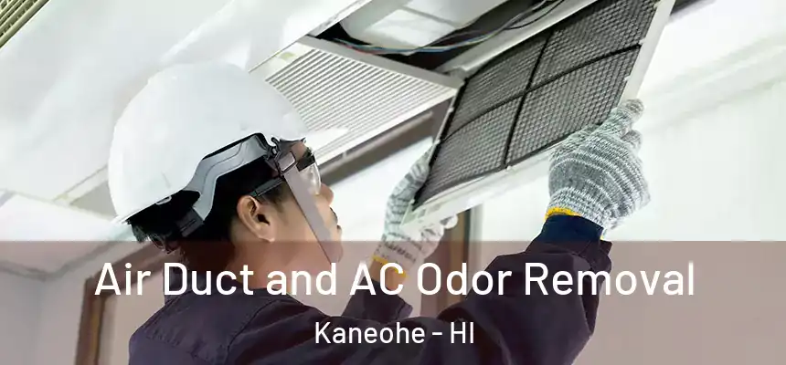  Air Duct and AC Odor Removal Kaneohe - HI