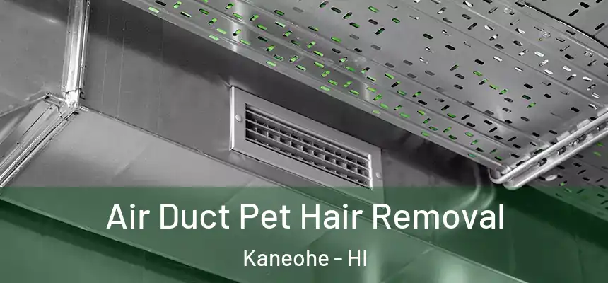  Air Duct Pet Hair Removal Kaneohe - HI