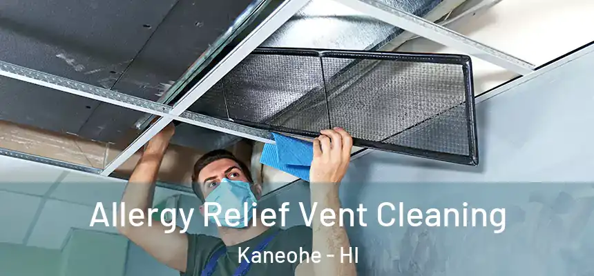  Allergy Relief Vent Cleaning Kaneohe - HI