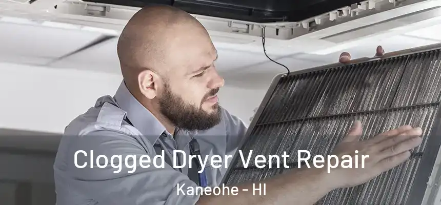  Clogged Dryer Vent Repair Kaneohe - HI