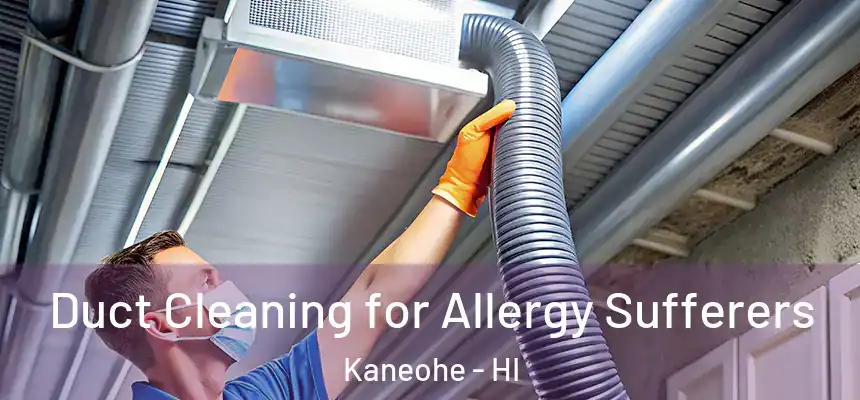  Duct Cleaning for Allergy Sufferers Kaneohe - HI