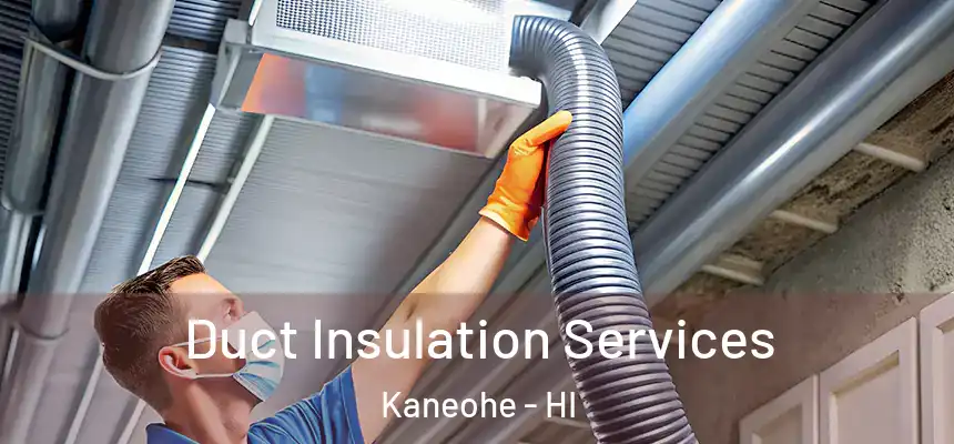  Duct Insulation Services Kaneohe - HI