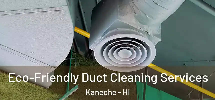  Eco-Friendly Duct Cleaning Services Kaneohe - HI