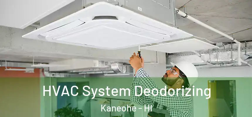 HVAC System Deodorizing Kaneohe - HI