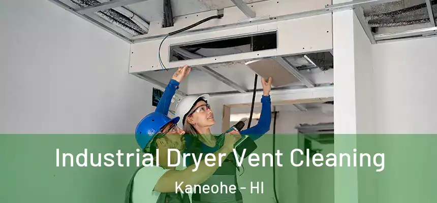 Industrial Dryer Vent Cleaning Kaneohe - HI