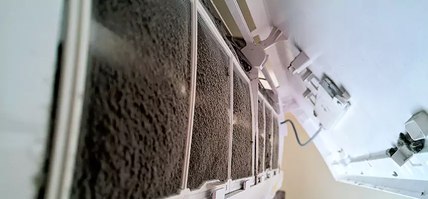 Preventive Air Duct Bacteria Removal in Kaneohe