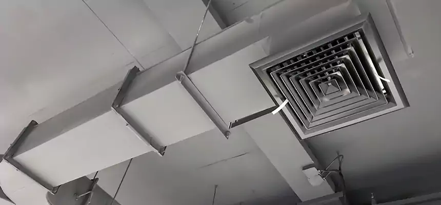 Restorative Allergy Relief Vent Cleaning – Coil, Blower & Housing Detail in Kaneohe