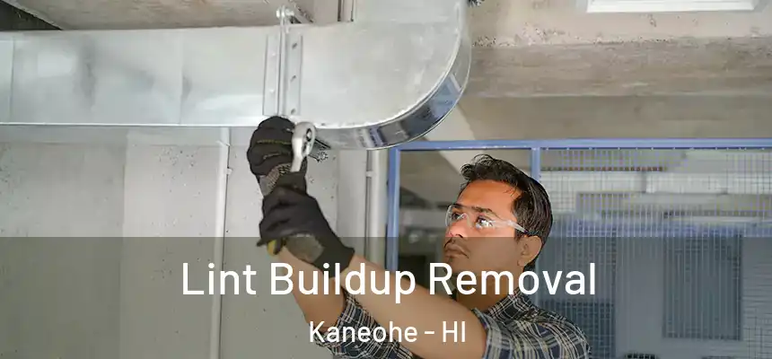 Lint Buildup Removal Kaneohe - HI