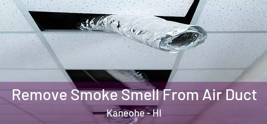 Remove Smoke Smell From Air Duct Kaneohe - HI
