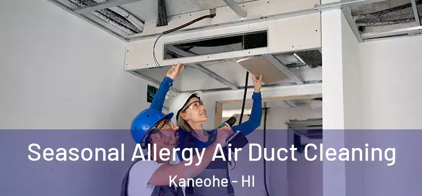 Seasonal Allergy Air Duct Cleaning Kaneohe - HI