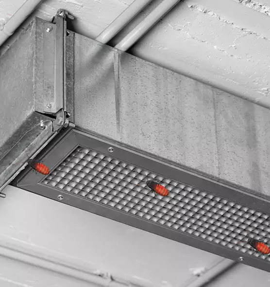 About Air Duct Cockroach Removal in Kaneohe, HI