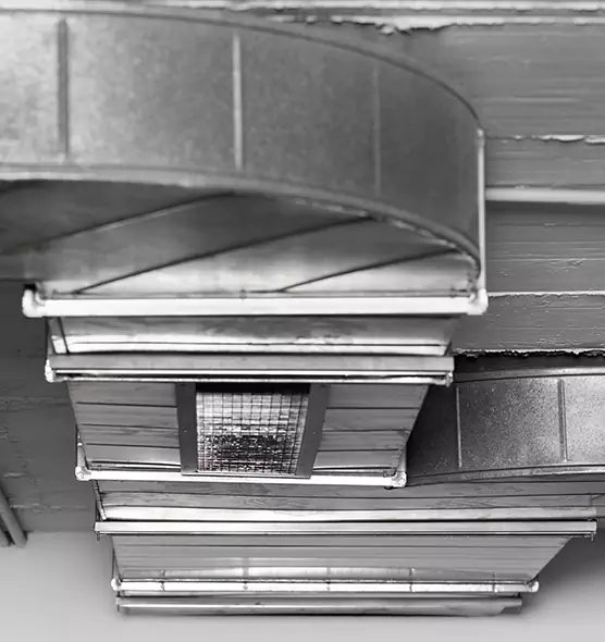 Professional Air Duct Pet Hair Removal in Kaneohe, HI