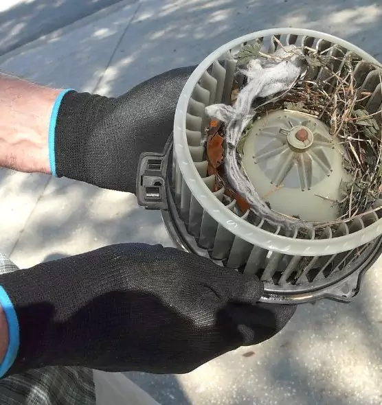 About Air Duct Rat Removal in Kaneohe, HI