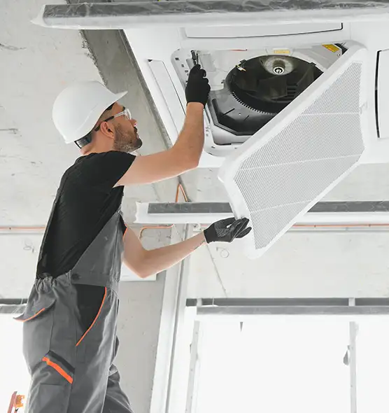 About Air Duct Rodent Removal in Kaneohe, HI