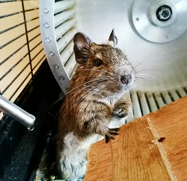 Why Homeowners & Businesses Trust Us Kaneohe, HI?