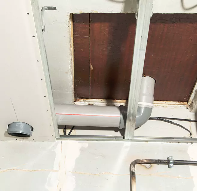 Why Homeowners & Businesses Trust Us in Kaneohe, HI?