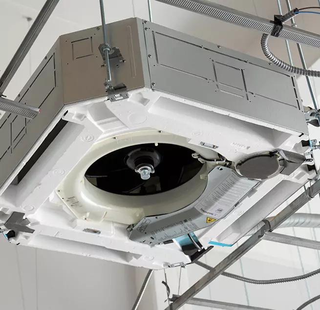 Why Homeowners & Businesses Trust Us in Kaneohe, HI?