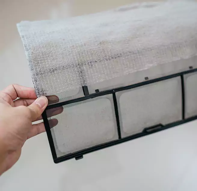 Why Homeowners & Businesses Trust Us in Kaneohe, HI?