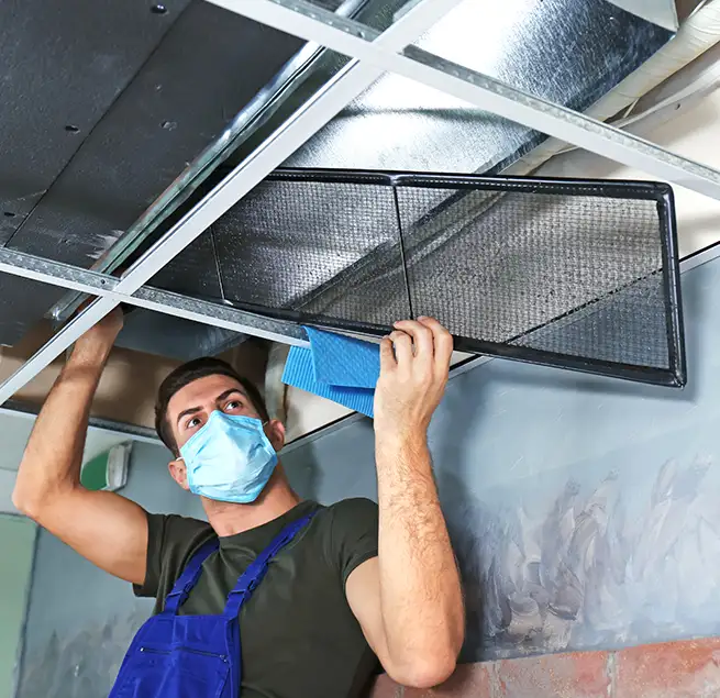 Why Homeowners & Businesses Trust Us in Kaneohe, HI?