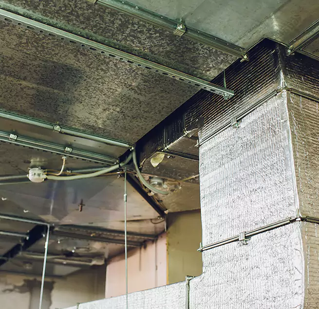 Why Homeowners & Businesses Trust Us in Kaneohe, HI?