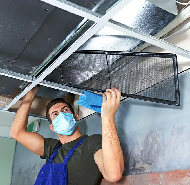 Why Homeowners Businesses Trust Us in Kaneohe, HI?