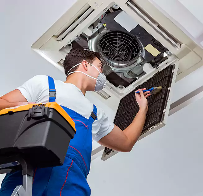 Why Homeowners & Businesses Trust Us in Kaneohe, HI?