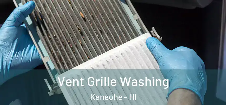  Vent Grille Washing Kaneohe - HI