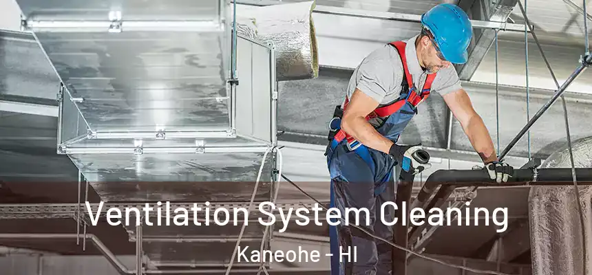 Ventilation System Cleaning Kaneohe - HI